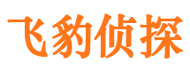 桂东市侦探调查公司